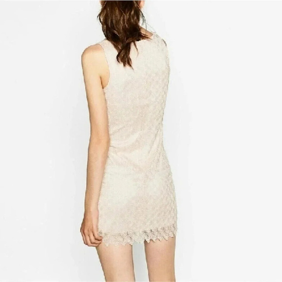 Zara Crochet Lace Swiss Dot Pink Mini Dress S - Picture 2 of 7